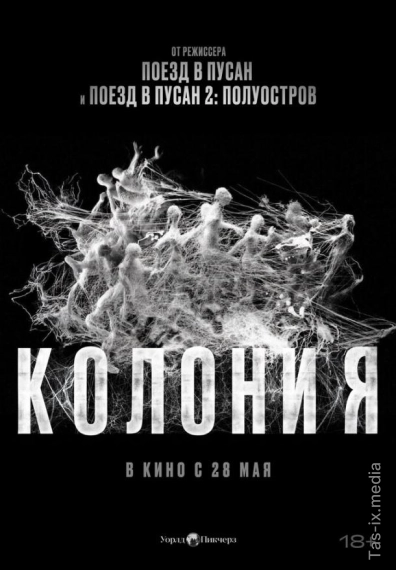 To`da / 2026 / Колония / Uzbek tilida / O'zbekcha tarjima